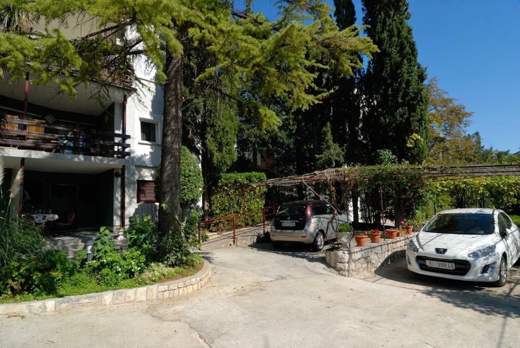 Apartments Sabina - 100M From Sea Crikvenica Esterno foto